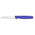 Кухонный нож Victorinox Paring  8 см прям. с син. ручкой